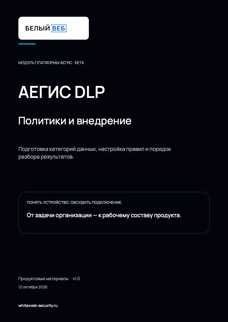 Обложка документа «Политики и внедрение»